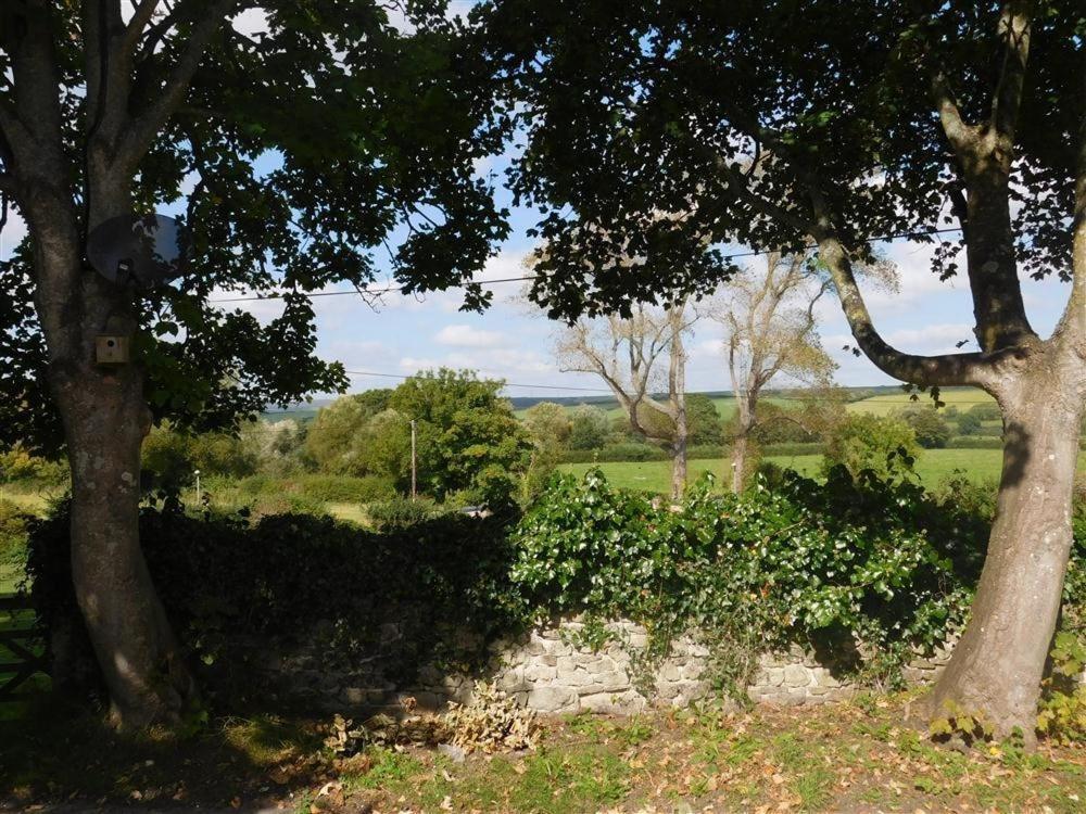 Follis Cottage Weymouth Kültér fotó